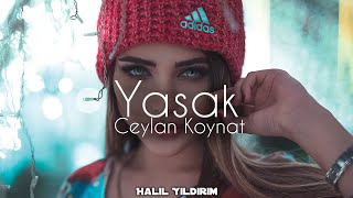 Ceylan Koynat - Yasak ( Halil Yıldırım Remix ) Resimi