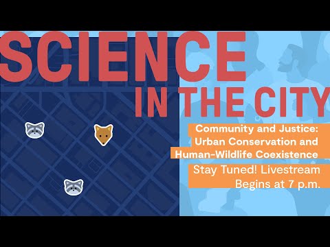 Community and Justice: Urban Conservation and Human-Wildlife Coexistence