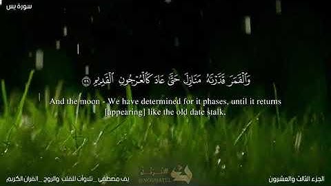 شريف مصطفى سورة يس كاملة مترجمة❤️شريف مصطفى ارح قلبك وروحكSurah Yasin🎧 heartsoul religion ofIslam