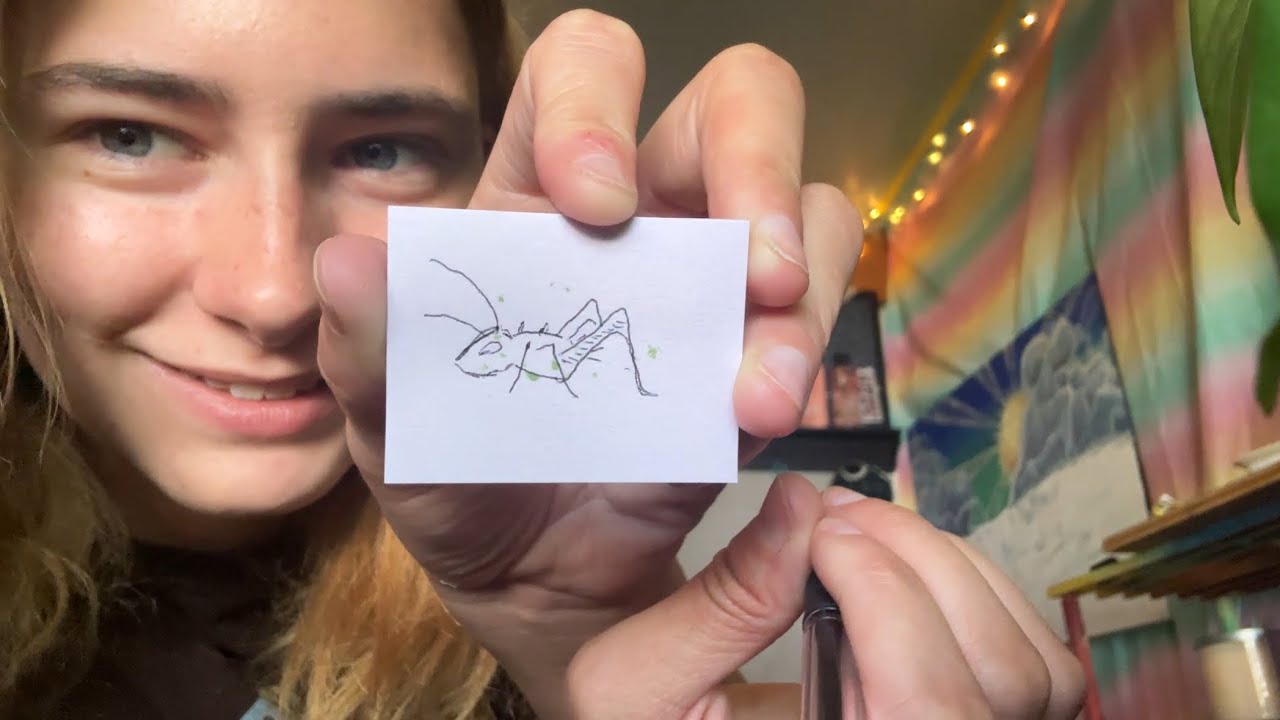 quick doodles of you and other things! | ASMR | ~lofi~