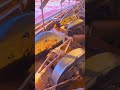 #GoldGrindingMachine#GoldShakingTable#Gold#GoldOre#GoldMining#GoldSeparationEquipment#GoldProcessing
