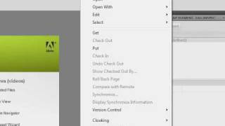 Adobe Dreamweaver CS4 Tutorial