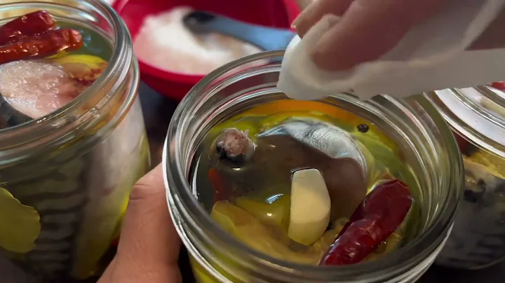 Canned Salmon & Mackerel in Olive Oil