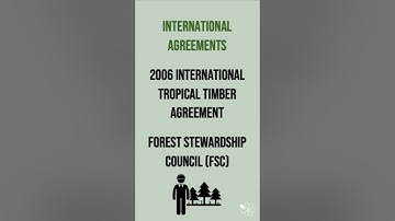 International Rainforest Management Strategies | 60 Second Geography on Tropical Rainforests