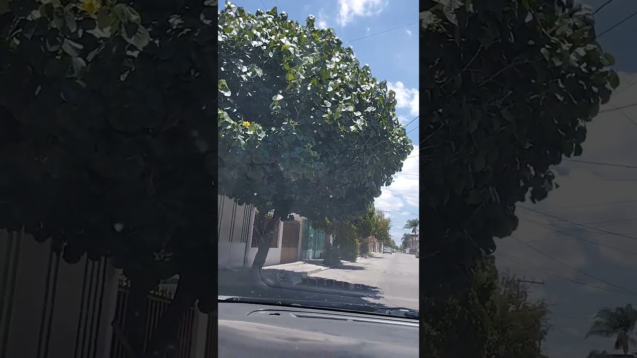 poda extrema majagua