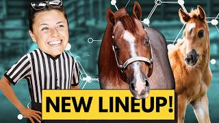 My Predictions For Next Years Foals Who Belongs To Who?