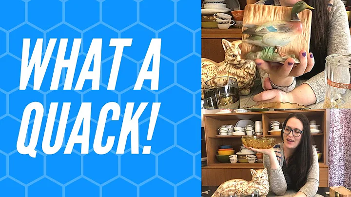 GOODWILL Thrift Haul | Dorothy  Thorpe, Cat Fight ...