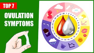 Ovulation Symptoms – Top 7 Symptoms of Ovulation and Major Signs