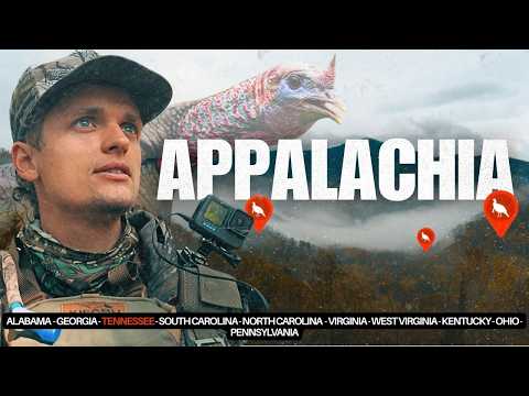 Why hunting the Appalachian Mountains is so HARD - Public Land Turkey Hunting