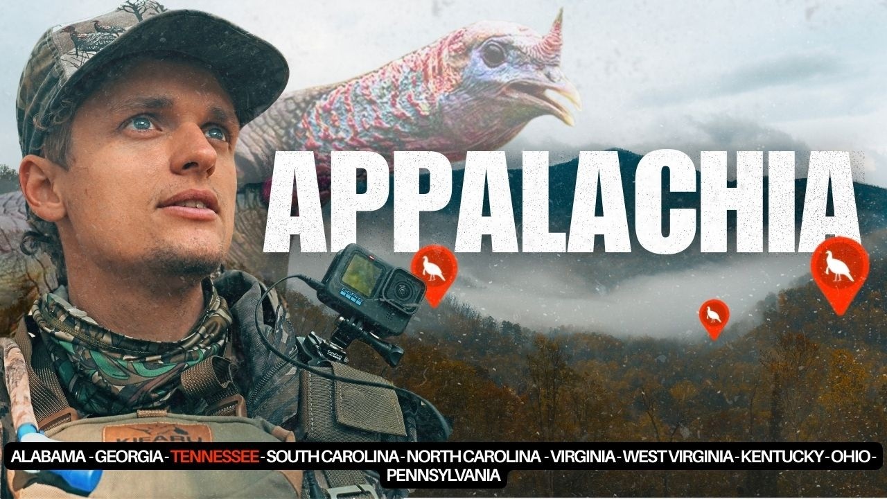 What makes hunting Appalachia so CHALLENGING? - Public Land Turkey Hunting