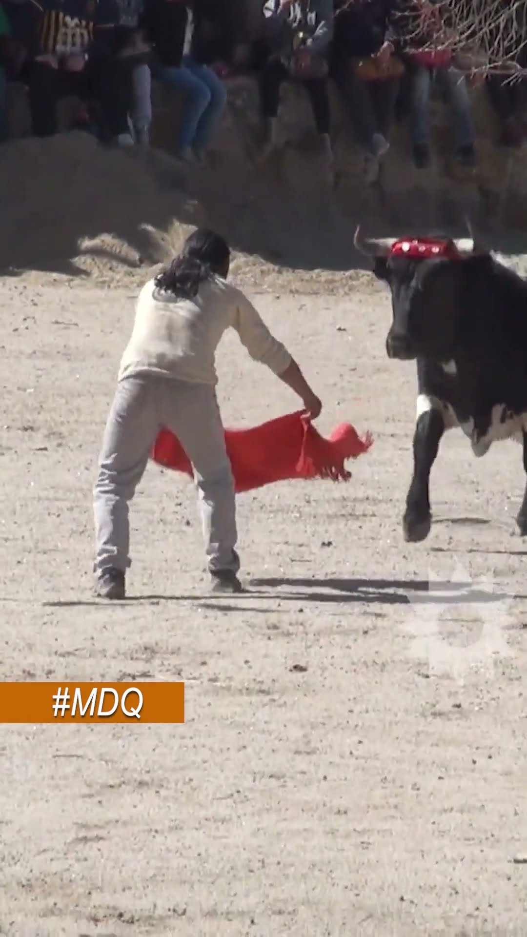 ¡CORAJE PURO! MDQ PARTICIPÓ DEL TOREO DE LA VINCHA, UNA PELIGROSA TRADICIÓN QUE POCOS CONOCEN
