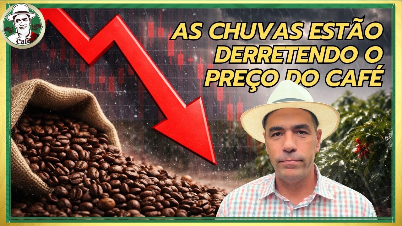 PREÇO DO CAFÉ CAINDO: O QUE A CHUVA TEM A VER COM ISSO?