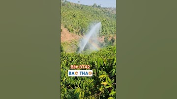 Béc BT42 tưới cà phê phun mưa rất đã, lực phóng xa 42m tối đa #bectuoiBACTHAO
