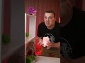 НЕльзя трогать Лабубу НЕльзя трогать Лабубу