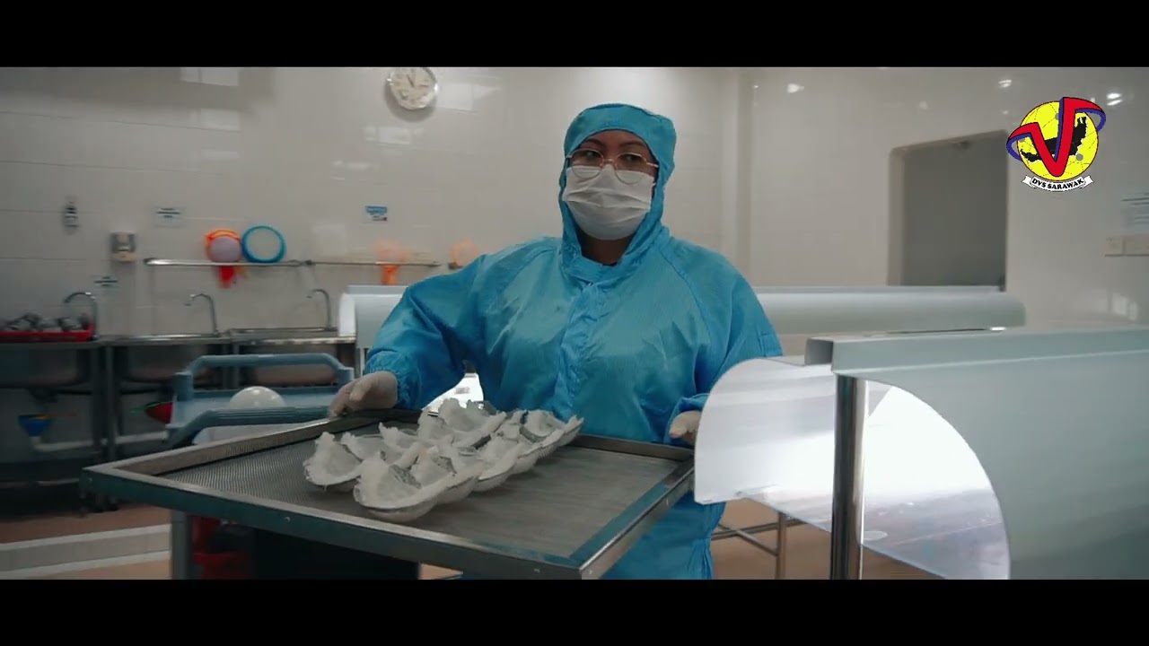 DVSS | EDIBLE BIRD'S NEST PRODUCTION