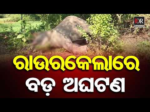 ରାଉରକେଲାରେ ପୁଣି ଆଉ ଏକ ଦନ୍ତା ହାତୀର ମୃତ୍ୟୁ | Odisha Reporter