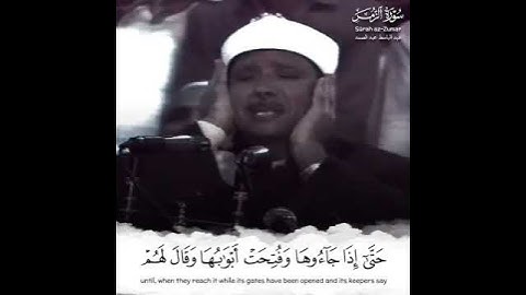 الآية 73 من سورة الزمر| تلاوة تريح القلب والعقل 🎧🖤