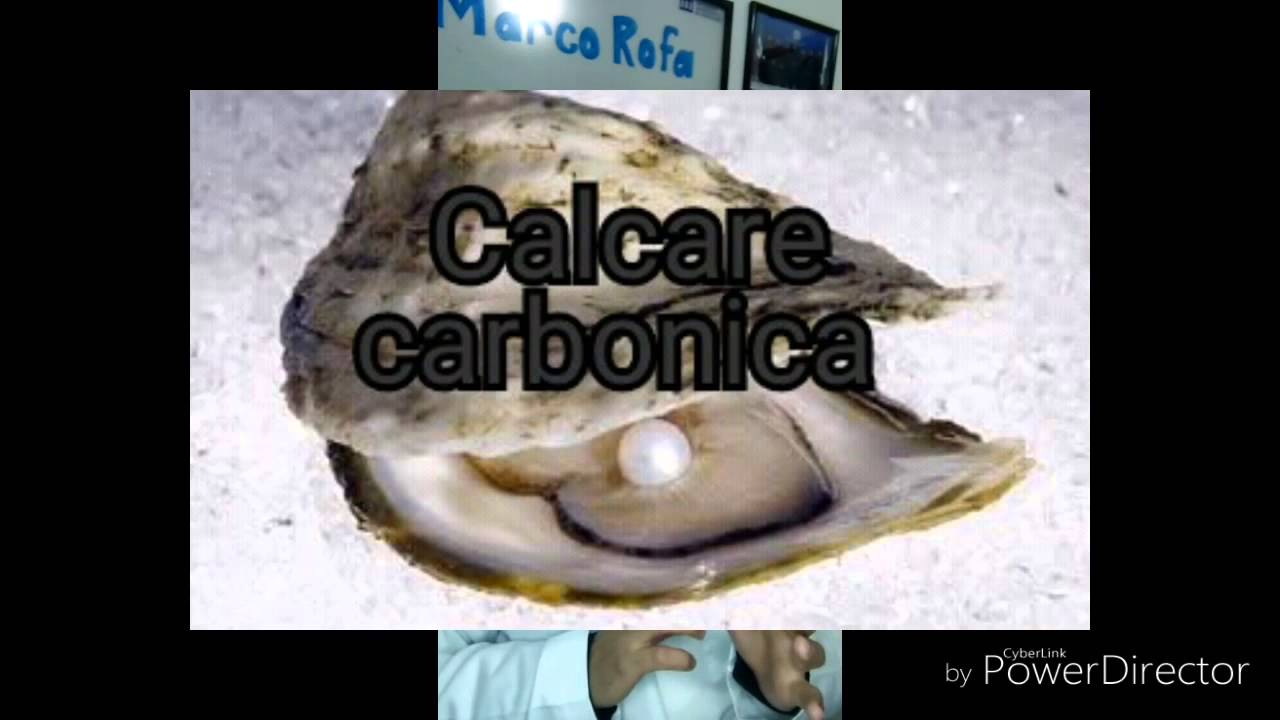 calcarea-carbonica-homeopatia-youtube