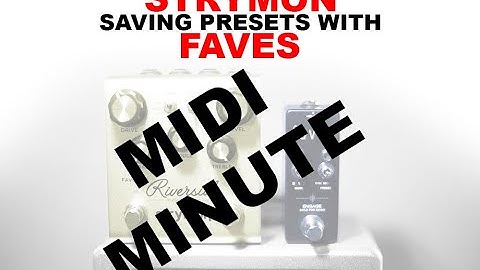 Saving Presets On A Strymon Riverside With Faves