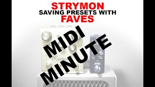 Saving Presets On A Strymon Riverside With Faves