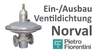 Fiorentini Deutschland Ventildichtung wechseln Norval