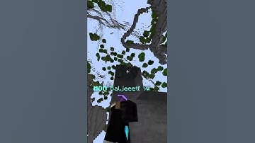 I Found a Player HACKING on my Minecraft Server