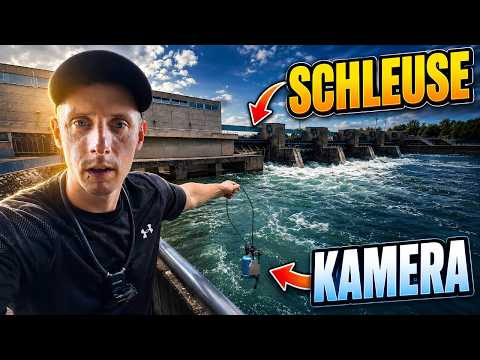 What kind of fish actually live under a sluice?