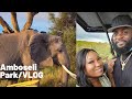 Amboseli Park Safari/VLOG/ Kenya