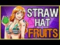 Straw Hat Devil Fruits, What If The Whole Crew Had Powers? - One Piece Theory | Tekking101
