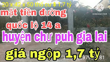 đại hạ giá 1,7 tỷ bán đất tặng ngôi nhà cấp 4 lớn mặt tiền quốc lộ 14 a huyện chư puh gia lai