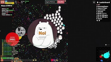 Agma.io 300bots🌟 & Multifeed🍀