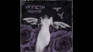 Vioflesh: Dark novel