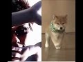 【 Vine/Twitter 】話題のDaisuke / ダイスケ動画連発 まとめです。