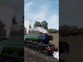 For Copley Hill! A tribute To The British Railway Stories by Simon AC Martin at where the Sheds were