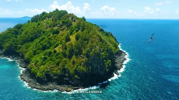 Où se trouvent les Gambier ?