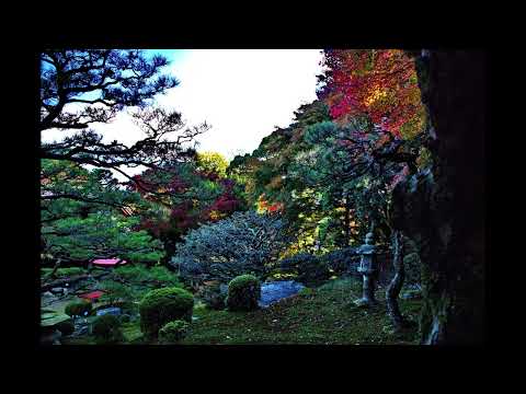 感激を求めて　元里坊 旧竹林院の紅葉  2024年11月29日  滋賀県
