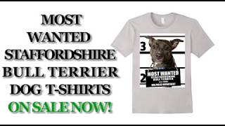 Most Wanted Staffordshire Dog T shirt - Men's, Women's, Kid's - Navy, Silver, Dark Heather
