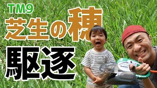 【芝刈り機を選抜】ついに購入です！TM9芝生の穂を駆逐してやる