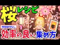 【あつ森】さくら家具レシピの効率的な集め方を徹底解説！期間限定の桜レシピが出ない方必見【あつまれどうぶつの森 桜シリーズ家具攻略】