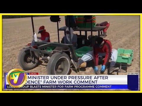 Samuda Facing Backlash from Jamaican Farm Workers | TVJ News