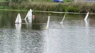 DF65 Qld Interclub championship 2021- race 7