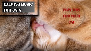 30 Minutes of Calming Music for Cats to Relax   Unbelievable Results