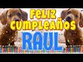 ¡Feliz Cumpleaños Raul! (Perros hablando gracioso) ¡Muchas Felicidades Raul!