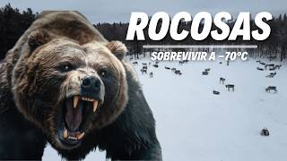 “Invierno en las Rocosas: La Lucha por la Supervivencia | Documental de Naturaleza”