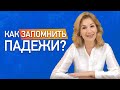 Как легко запомнить падежи? Учим падежи русского языка