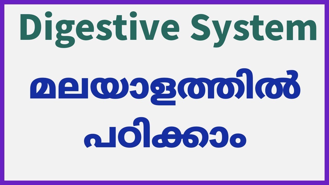 Malayalam - Explanation of the Digestive System 