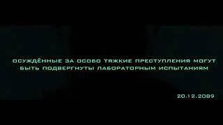 Лабораторные Крысы Лабораторные Крысы