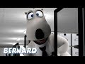 Bernard Bear | A Office AND MORE | 30 min Compilation | Cartoons for Children