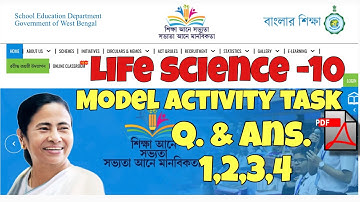 BANGLAR SHIKSHA CLASSROOM 10 MODEL ACTIVITY TASK QUESTION ANSWER 1,2,3,4 FULL EXPLAINED