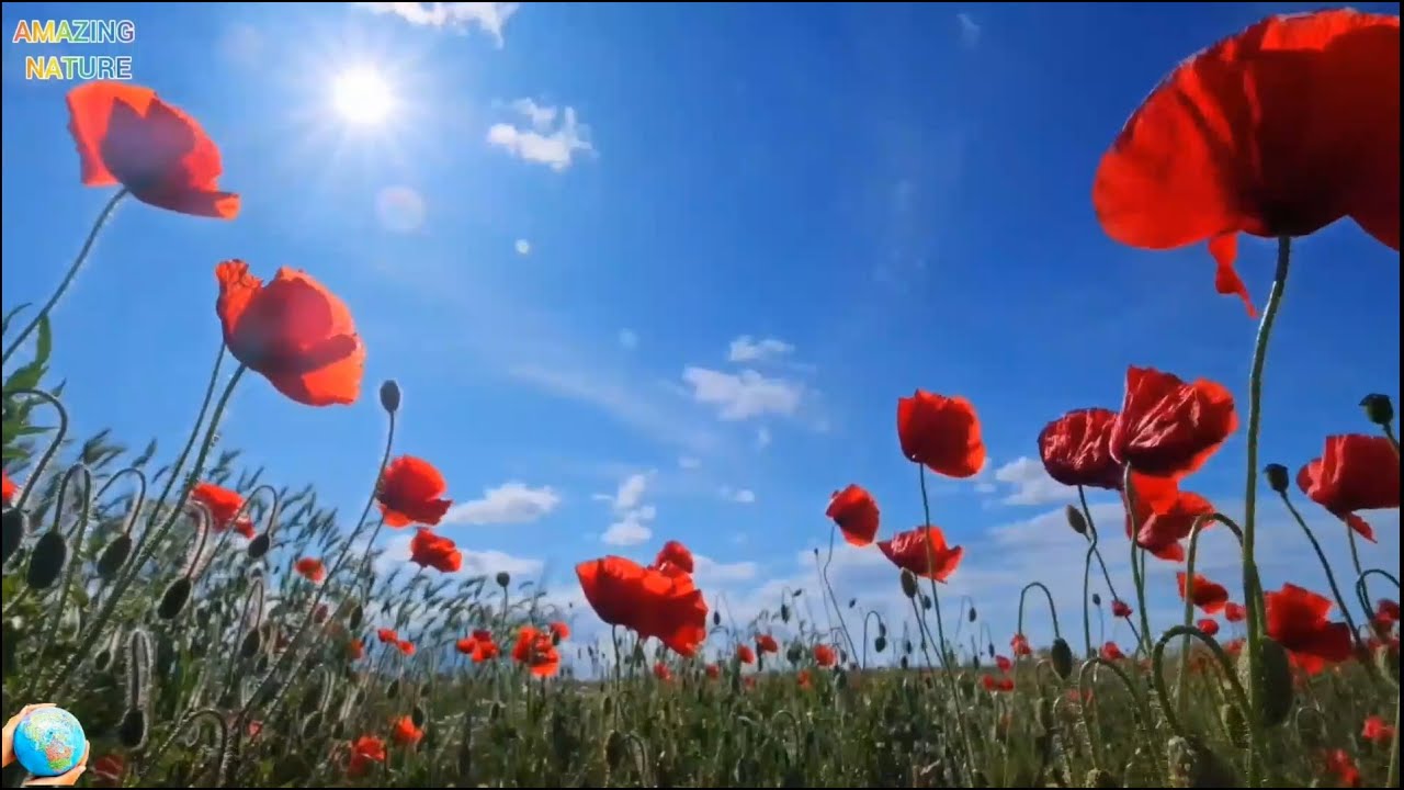 ROMANTIC,  RELAX PIANO MUSIC FOR MOOD.   1 HOUR RELAXING MUSIC